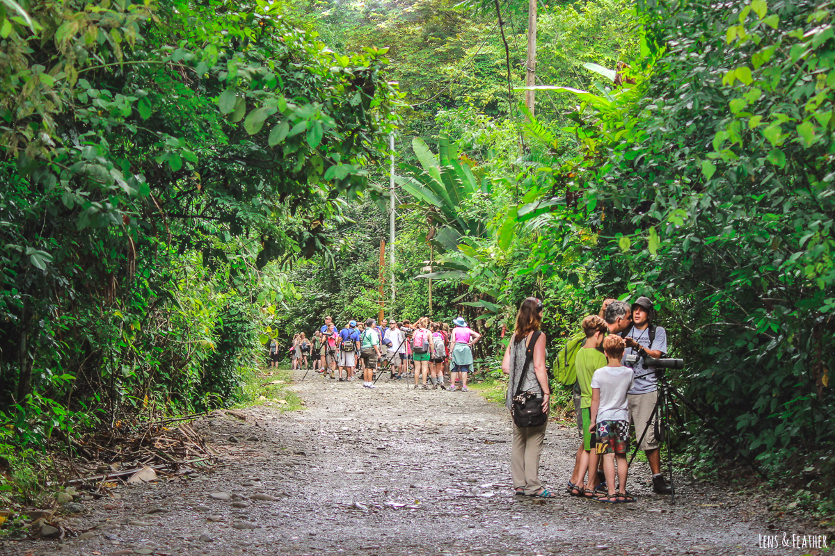 Besuchermassen im Nationalpark Manuel Antonio