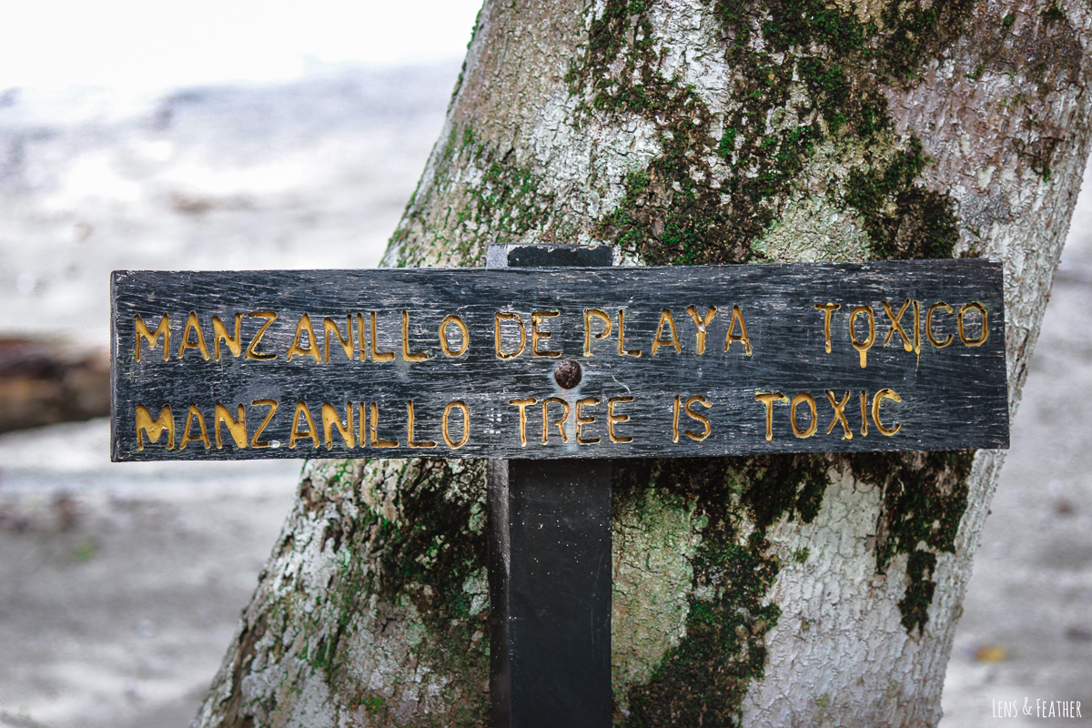 Warnung vor dem Manchinelbaum im Nationalpark Manuel Antonio