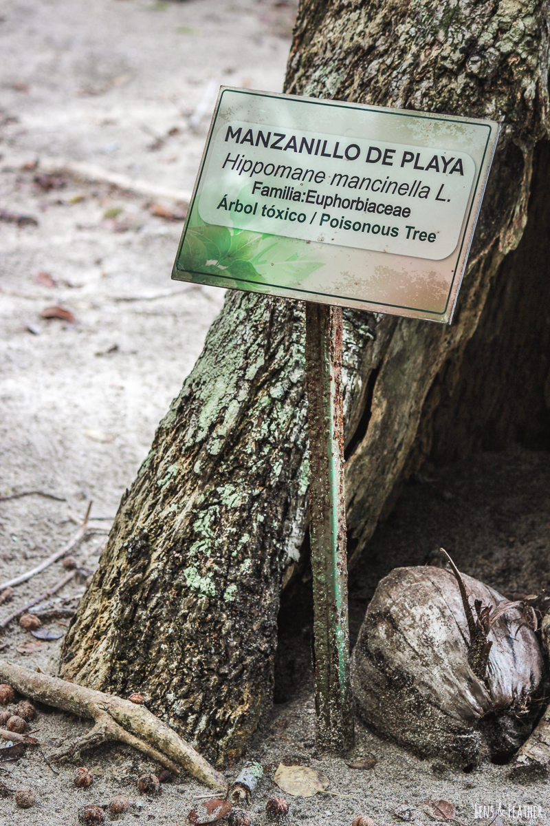 Warnung vor dem Manchinelbaum im Nationalpark Manuel Antonio