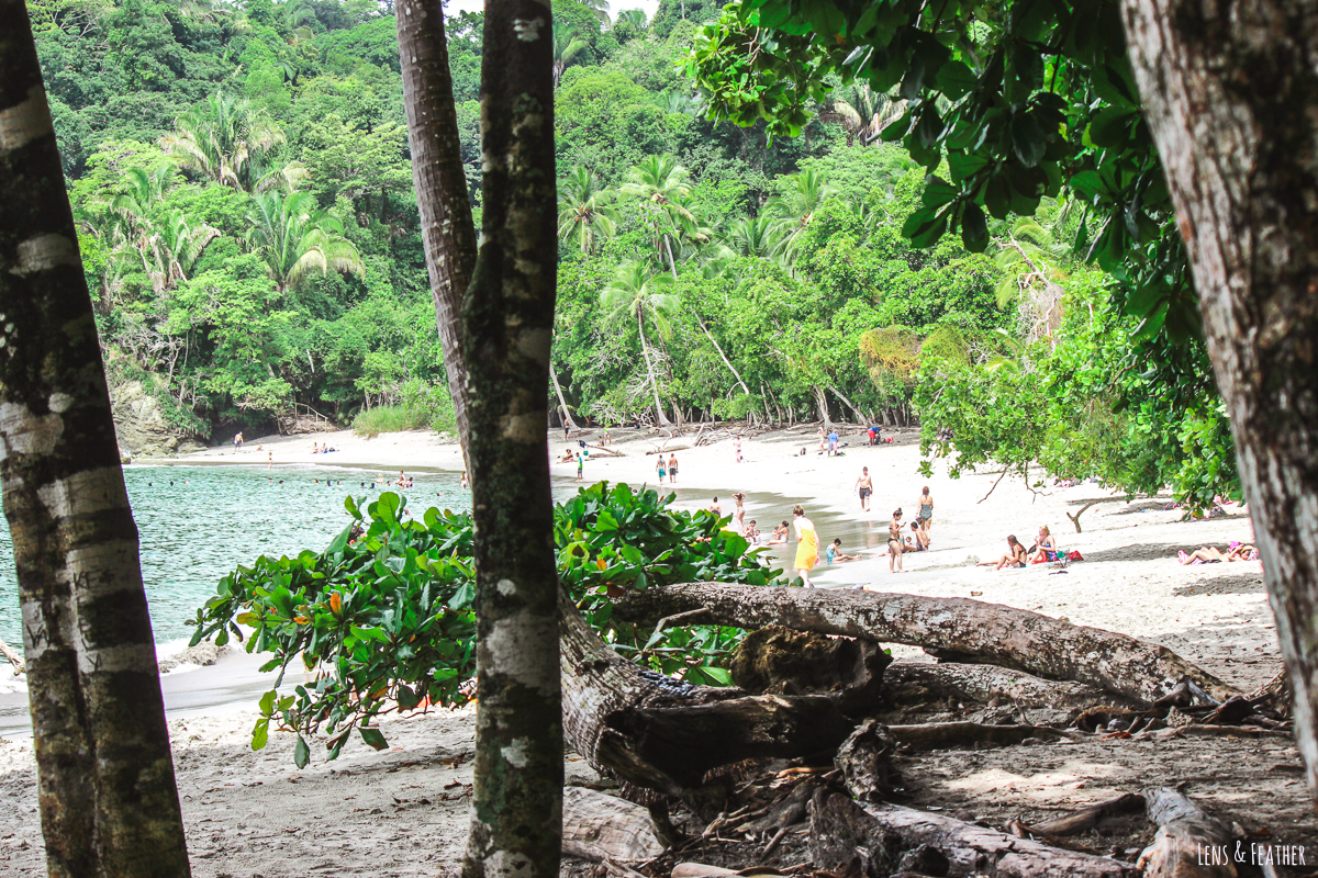 Strand im Manuel Antonio Nationalpark