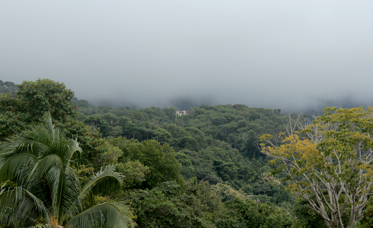 Regenwolken über Regenwald in Costa Rica