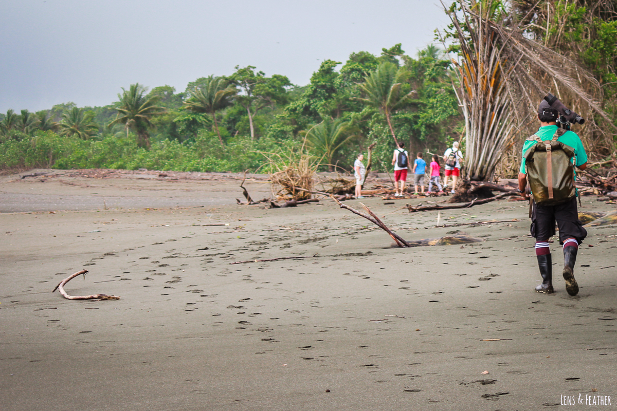 Wandergruppe mit Guide im Corcovado Nationalpark