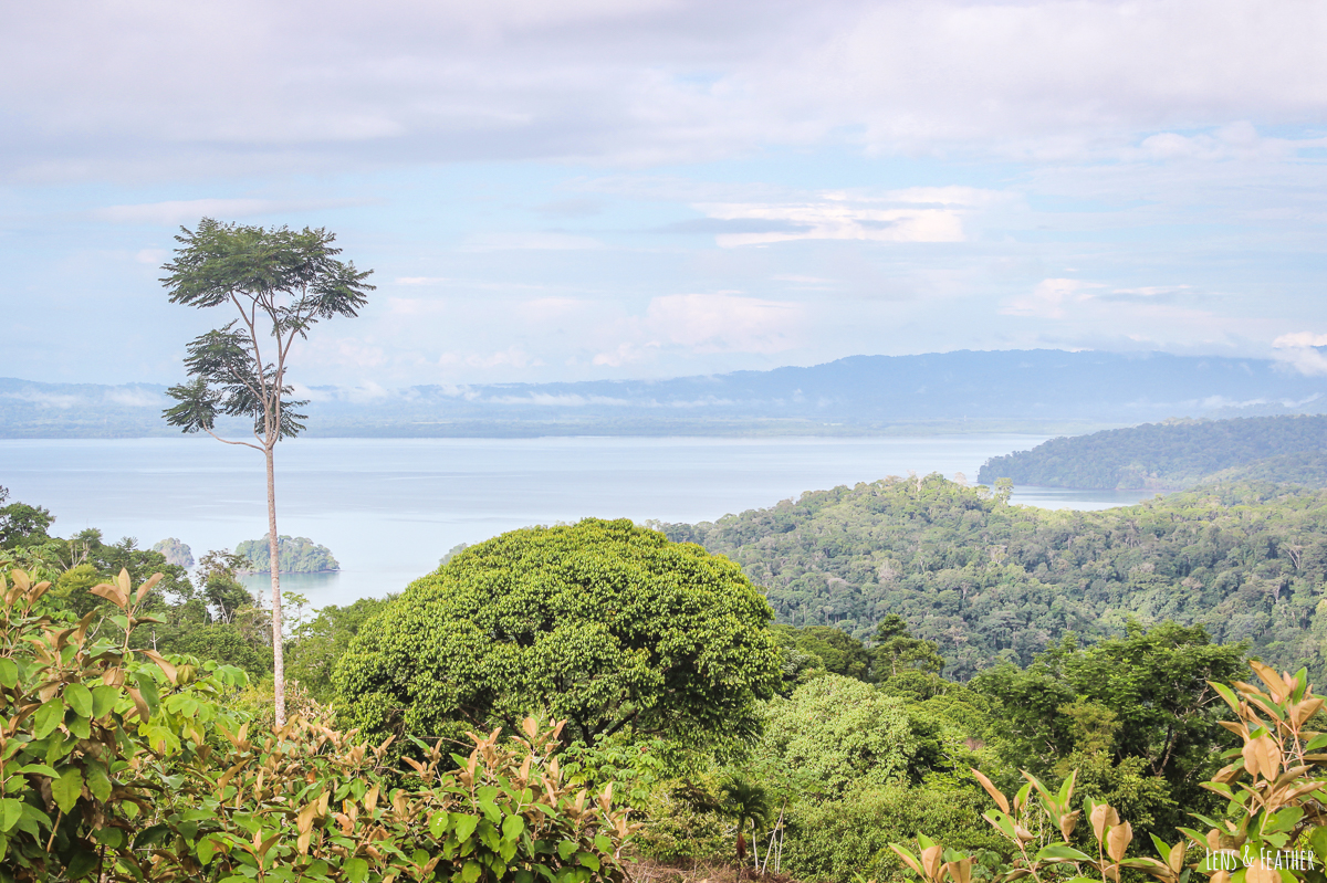 Der Golfo Dulce in Costa Rica