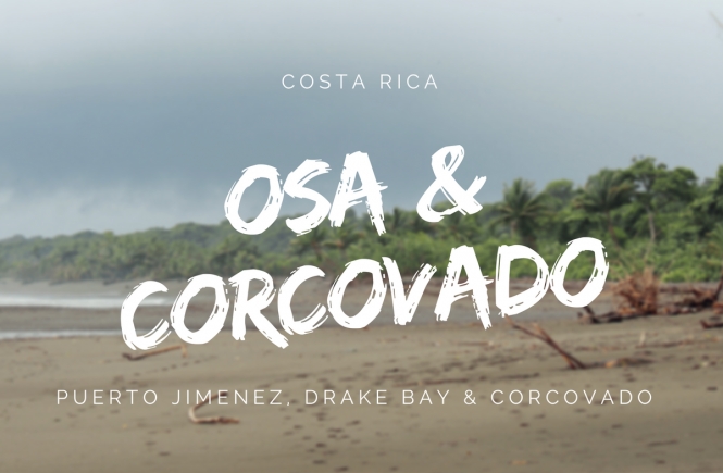 Osa Halbinsel und Corcovado Nationalpark