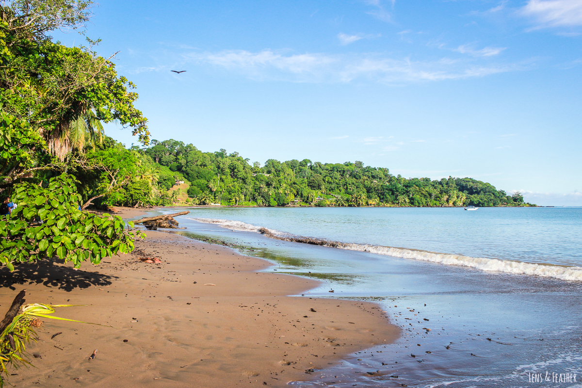 Der Strand von Drake Bay in Costa Rica