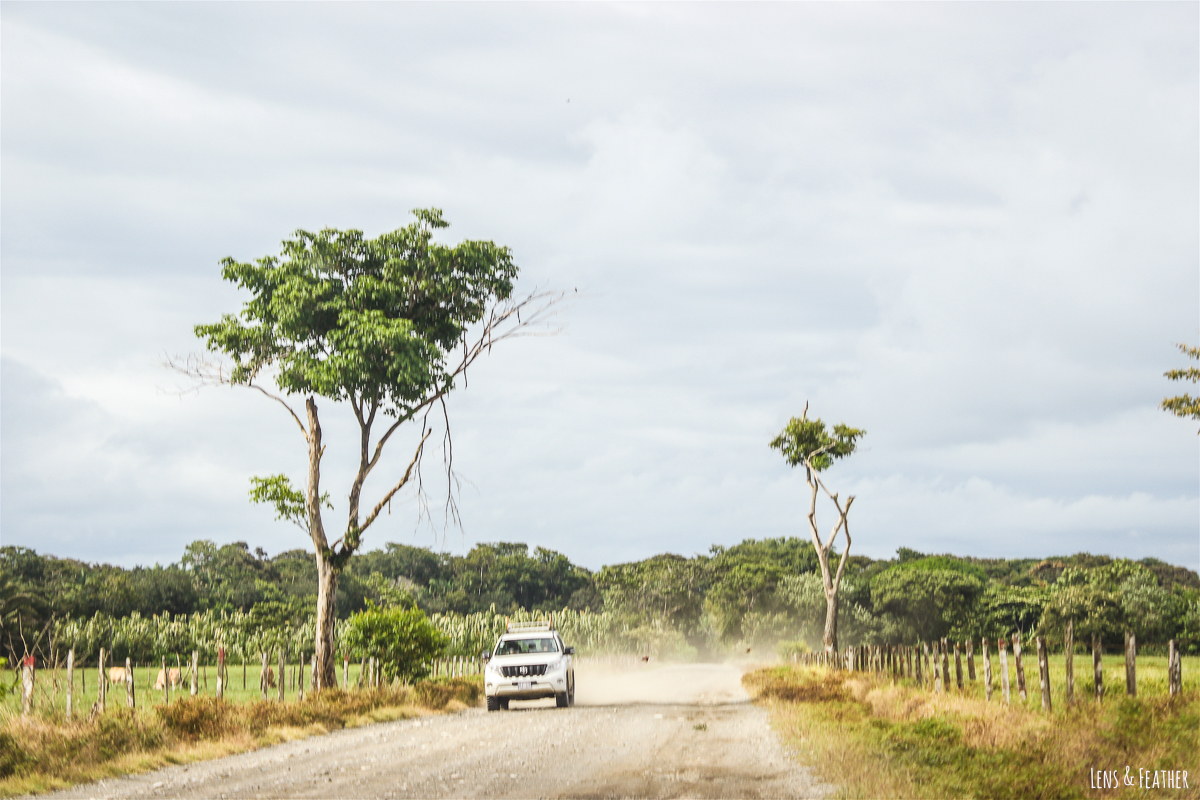 Straße nach Cabo Matapalo in Costa Rica