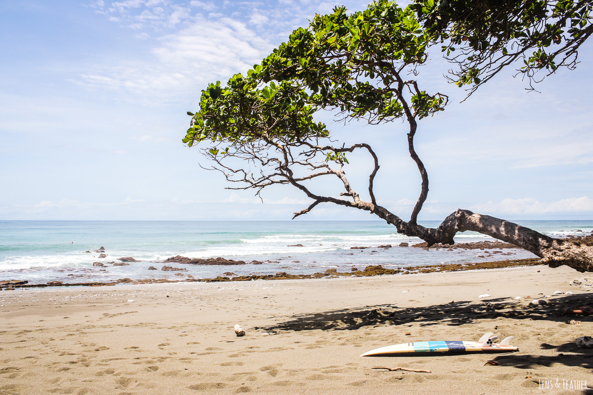 Surfbrett an der Playa Pan Dulce