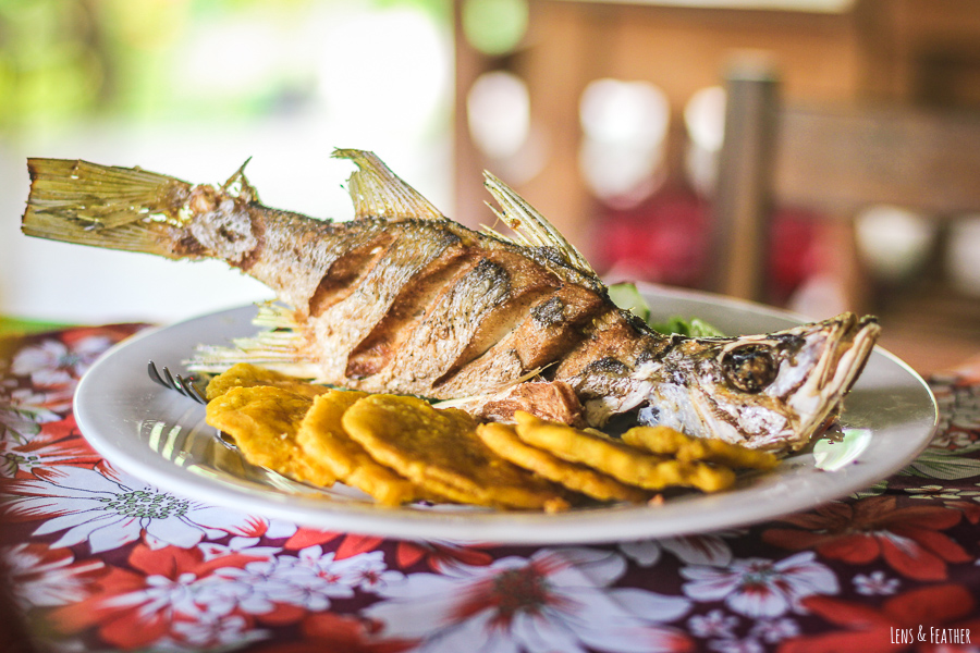 Fisch mit Patacones in Costa Rica