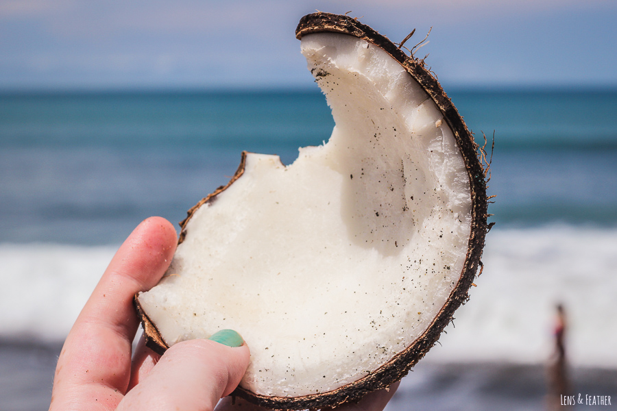 Frische Kokosnuss in Costa Rica