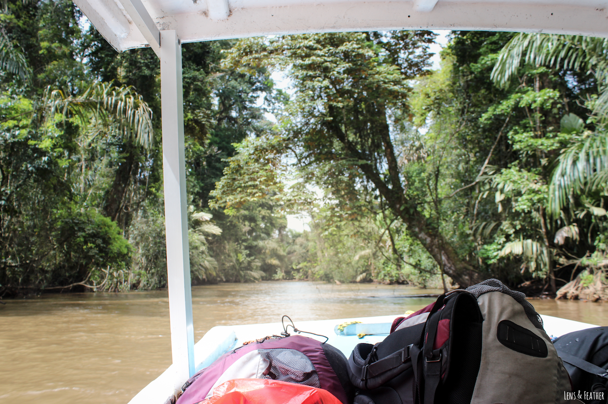 Bootsfahrt nach Tortuguero Costa Rica