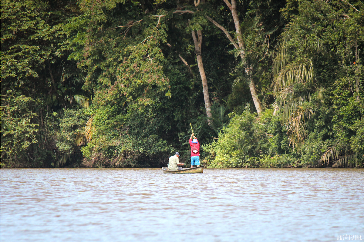 Fischer auf dem Tortuguero Kanal Costa Rica