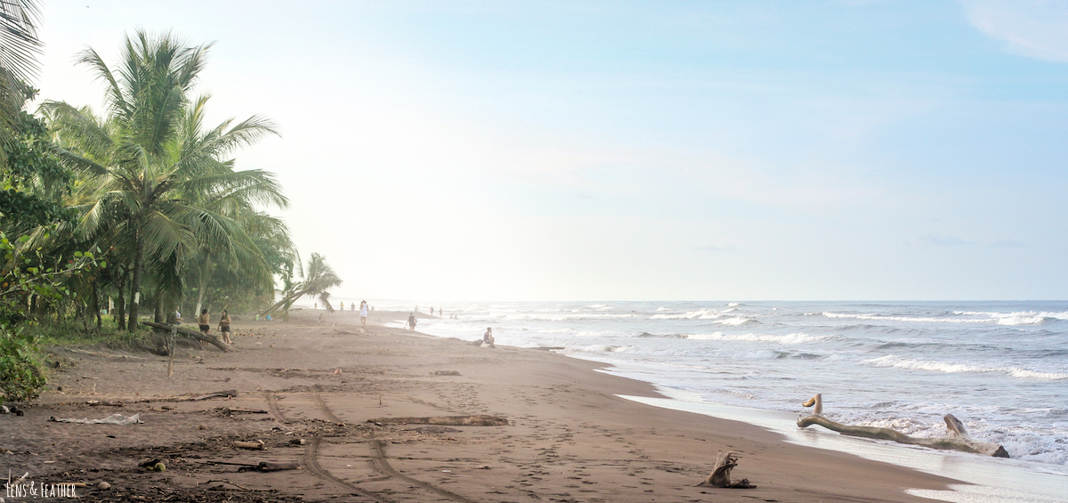 Strand von Tortuguero Costa Rica