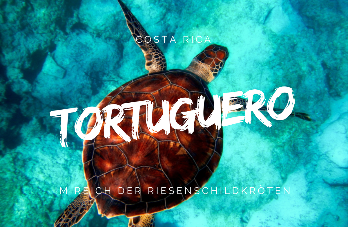 Tortuguero - Im Reich der Riesenschildkröten | Foto credit: Pixabay.com
