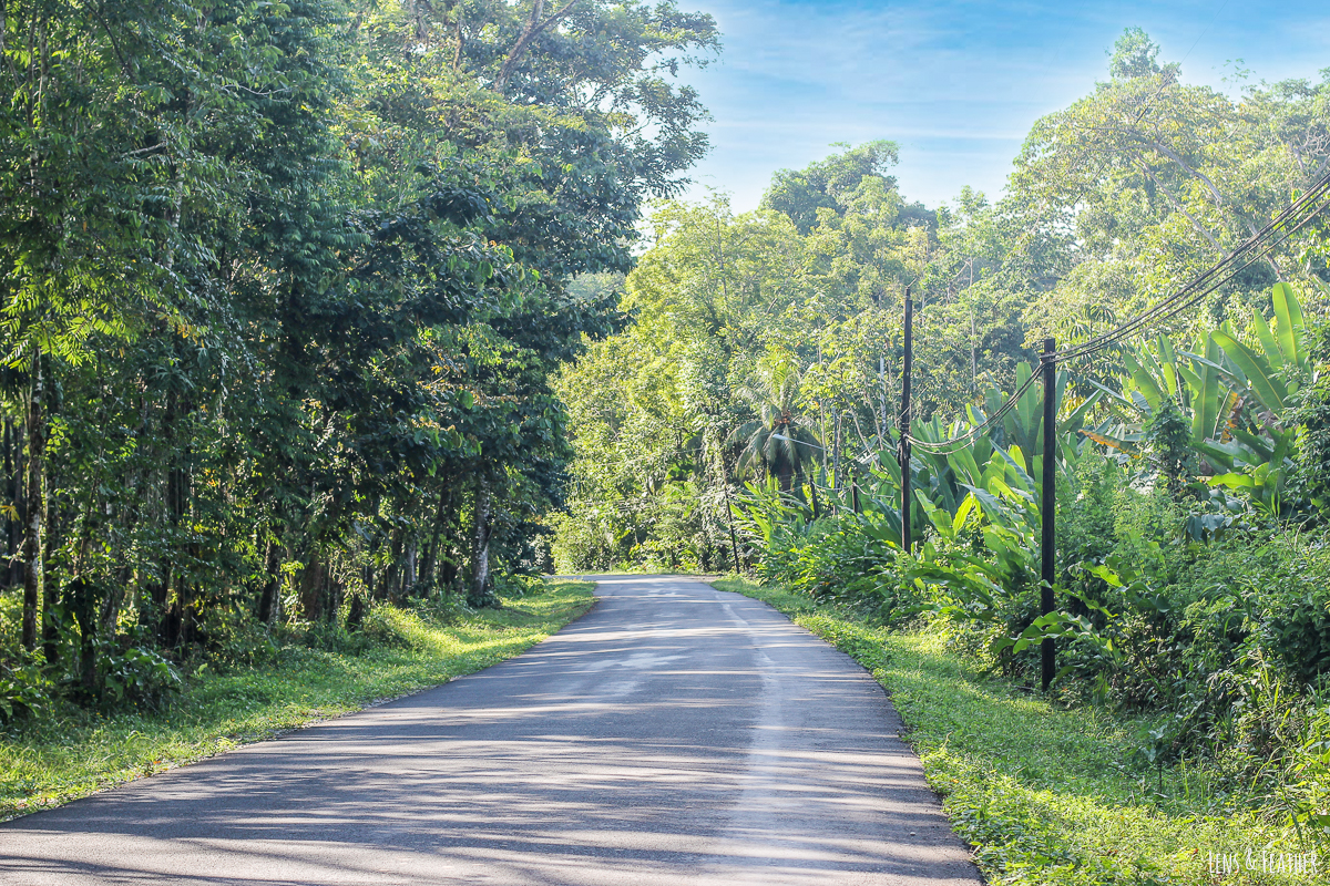 Straße nach Manzanillo Costa Rica