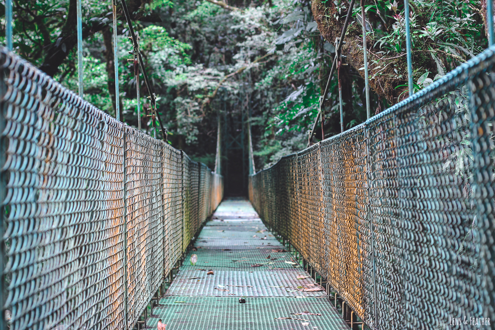Hängebrücke in Monteverdes Nebelwald