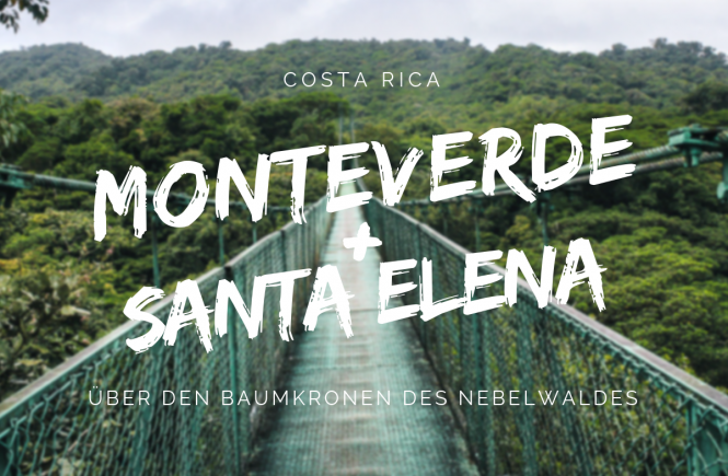 Monteverde und Santa Elena Reisetipps