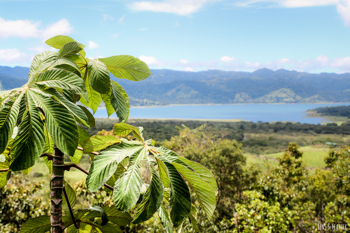 Aussicht auf den Arenal See