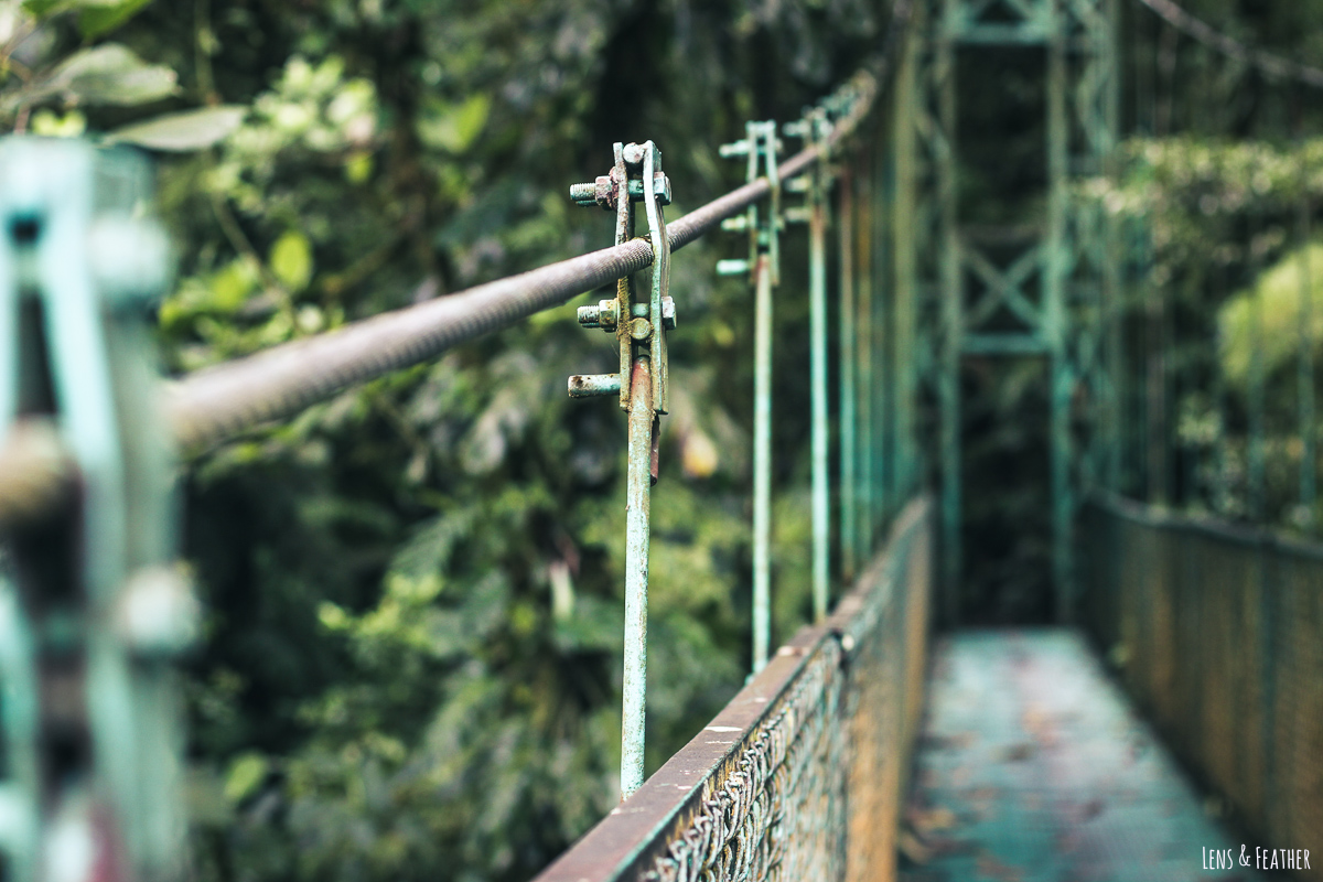Hängebrücke in Monteverde in Costa Rica