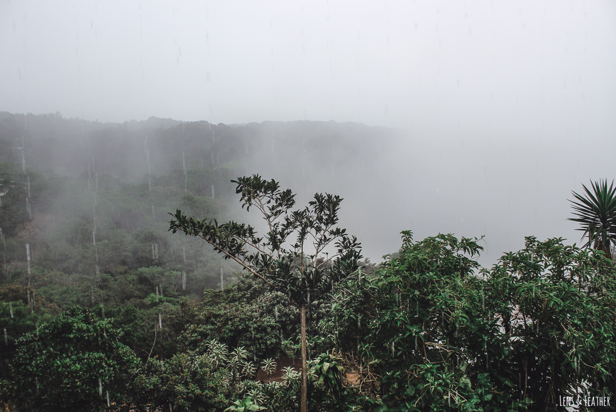 Regenzeit in Monteverde Costa Rica
