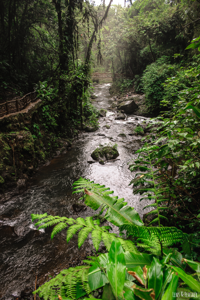 Die La Paz Wasserfallgärten in Costa Rica