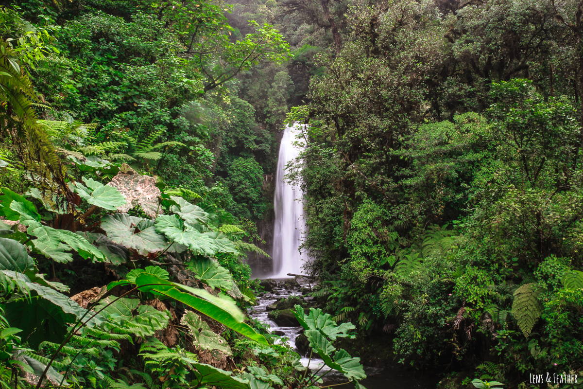 La Paz Wasserfallgärten in Costa Rica Erfahrungsbericht